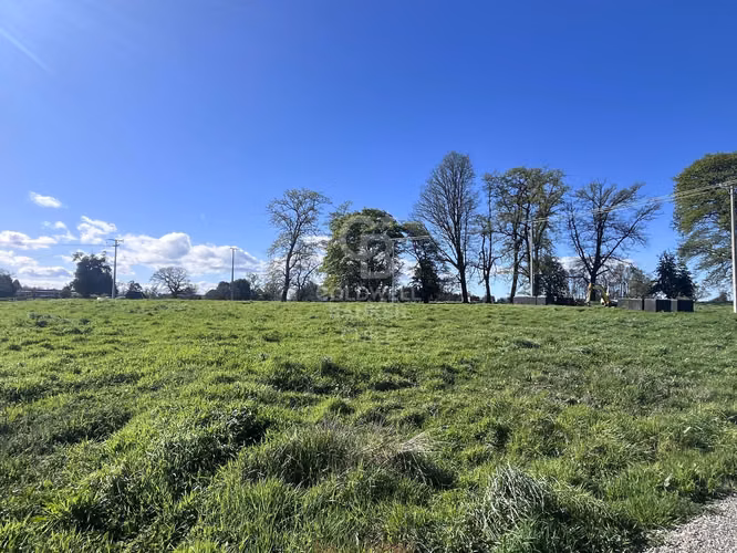 Hermosa Parcela de agrado con vista al Volcán Osorno