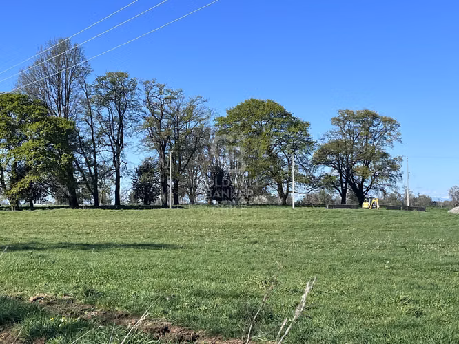Hermosa Parcela de agrado con vista al Volcán Osorno