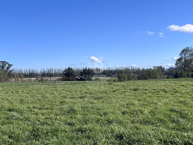 Hermosa Parcela de agrado con vista al Volcán Osorno