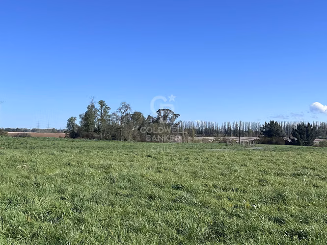 Hermosa Parcela de agrado con vista al Volcán Osorno
