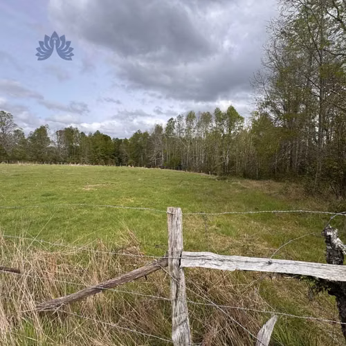 Parcela 5.000 m² con bosque y luz en Villarri (123575) - Imagen 6