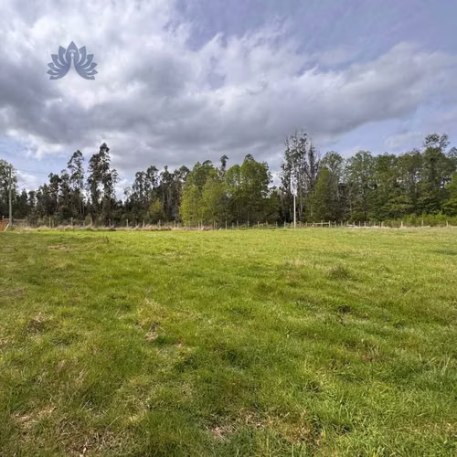 Parcela 5.000 m² con bosque y luz en Villarri (123575) - Imagen 5