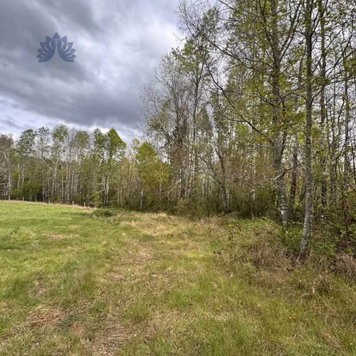 Parcela 5.000 m² con bosque y luz en Villarri (123575)