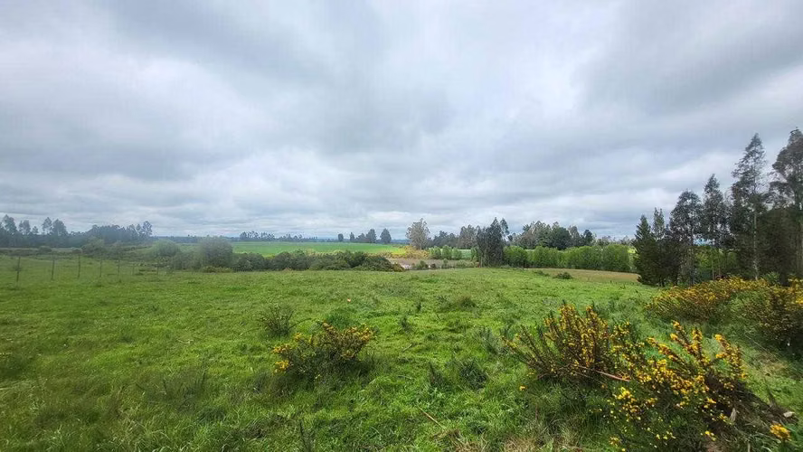 VENDO TERRENO EN TRAÑI TRAÑI DE 1.6 HECTÁREAS (123696)