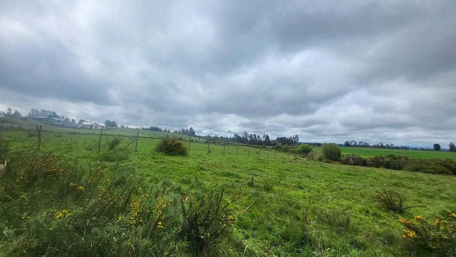 VENDO TERRENO EN TRAÑI TRAÑI DE 1.6 HECTÁREAS (123696)