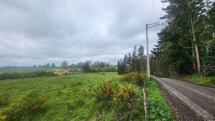 VENDO TERRENO EN TRAÑI TRAÑI DE 1.6 HECTÁREAS (123696)