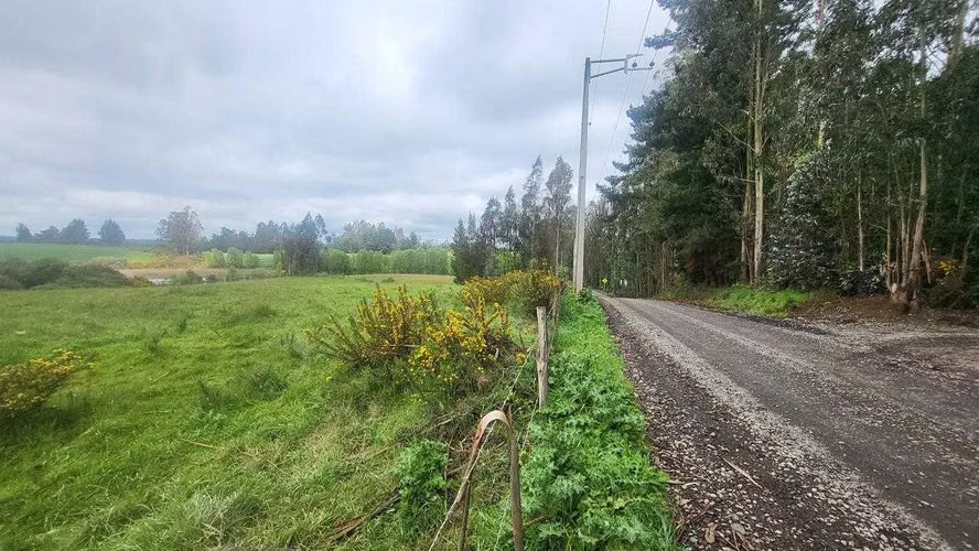 VENDO TERRENO EN TRAÑI TRAÑI DE 1.6 HECTÁREAS (123696)