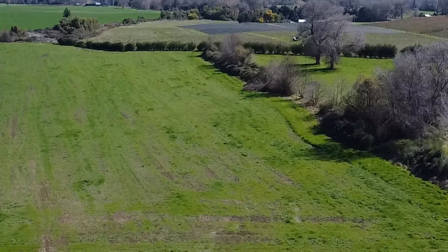 SE VENDE CAMPO EN SAN IGNACIO 19.35 HECTAREAS - Imagen 12