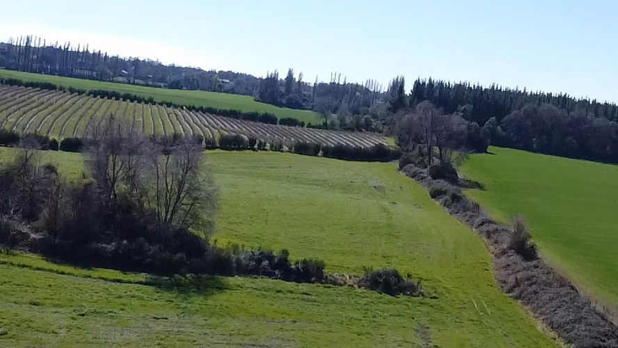 SE VENDE CAMPO EN SAN IGNACIO 19.35 HECTAREAS - Imagen 8