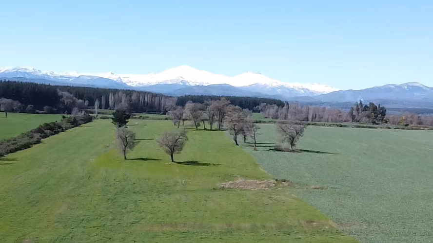 SE VENDE CAMPO EN SAN IGNACIO 19.35 HECTAREAS - Imagen 6