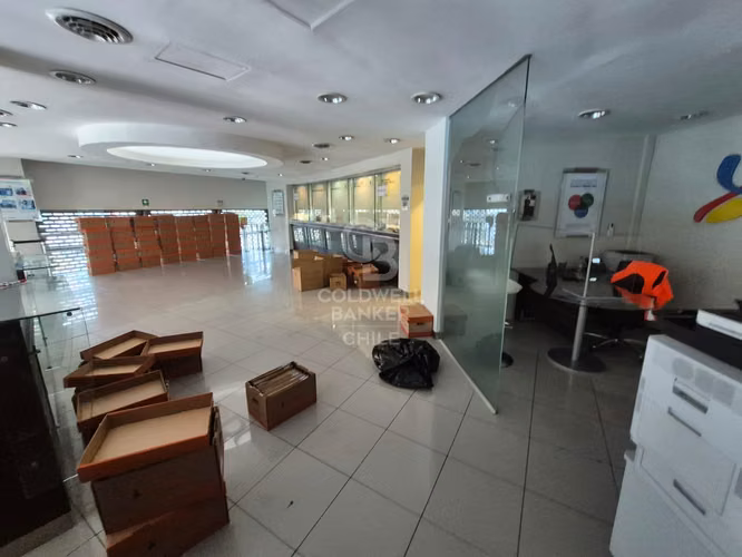 Local Comercial – Plaza Coraceros, Viña del Mar