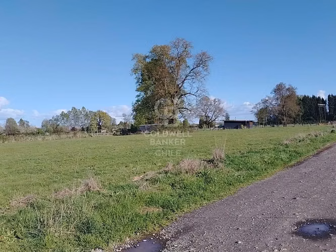 Hermosa Parcela camino a Puyehue