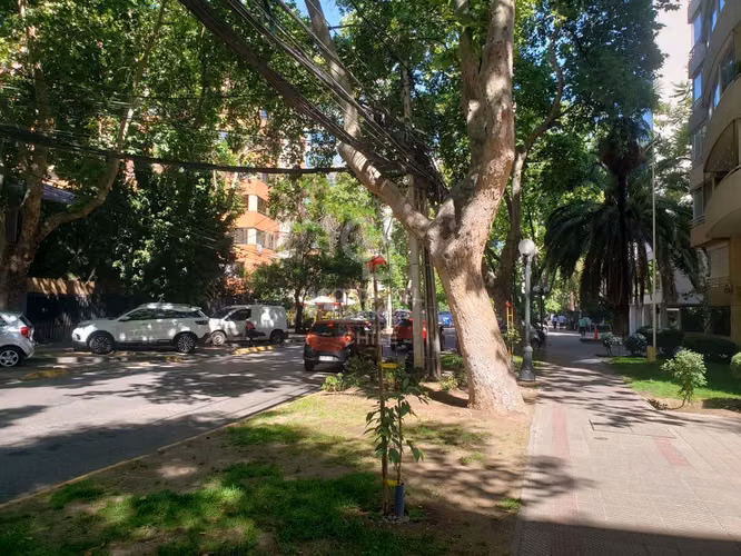 En el corazón de Providencia - Imagen 17