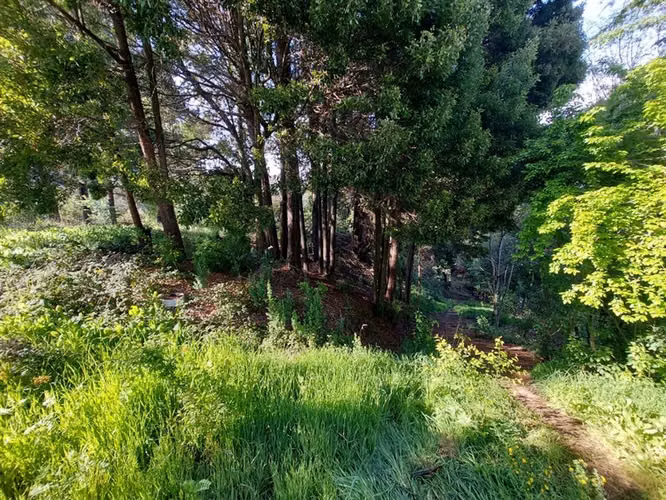 SITIO Villa San Ramon