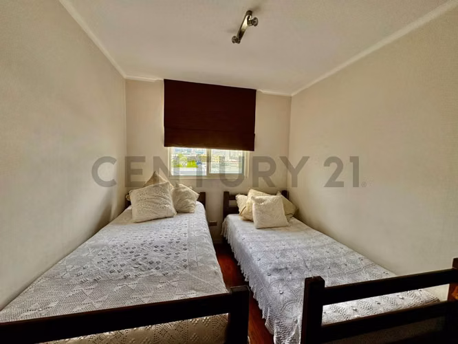 Acogedor y céntrico departamento en Viña del Mar
