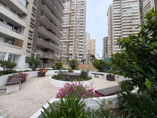 Acogedor y céntrico departamento en Viña del Mar