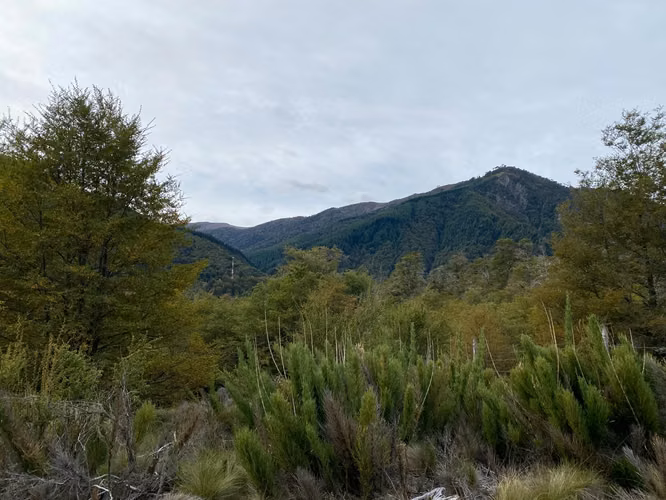 PARCELA 5000M2 EN LOTEO MALALCAHUELLO