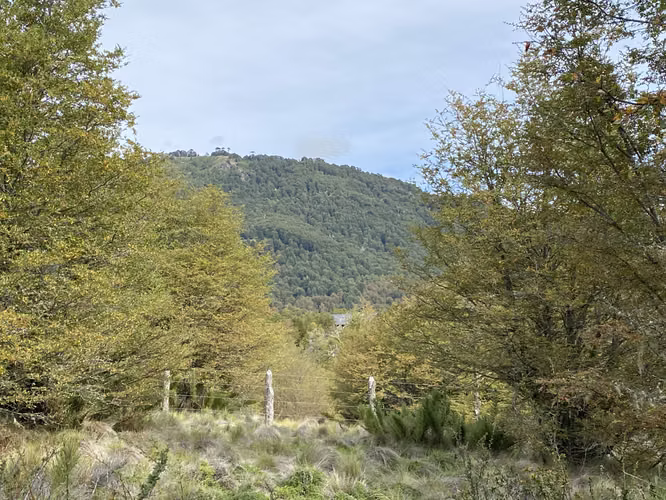 PARCELA 5000M2 EN LOTEO MALALCAHUELLO