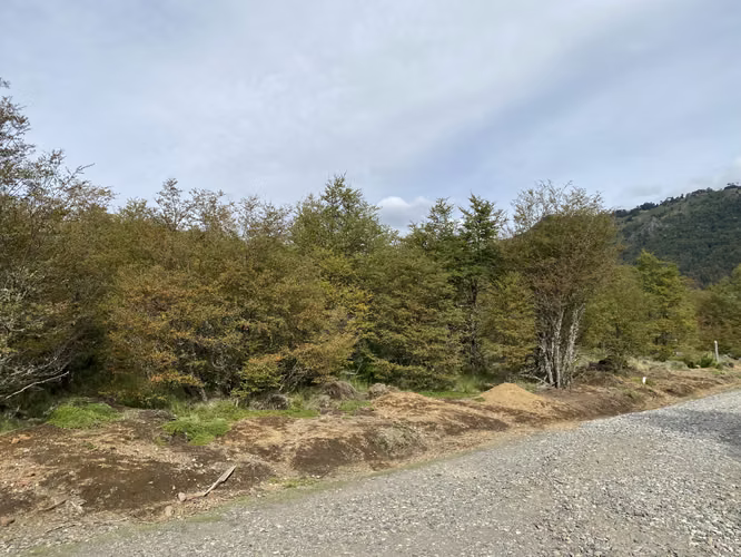 PARCELA 5000M2 EN LOTEO MALALCAHUELLO
