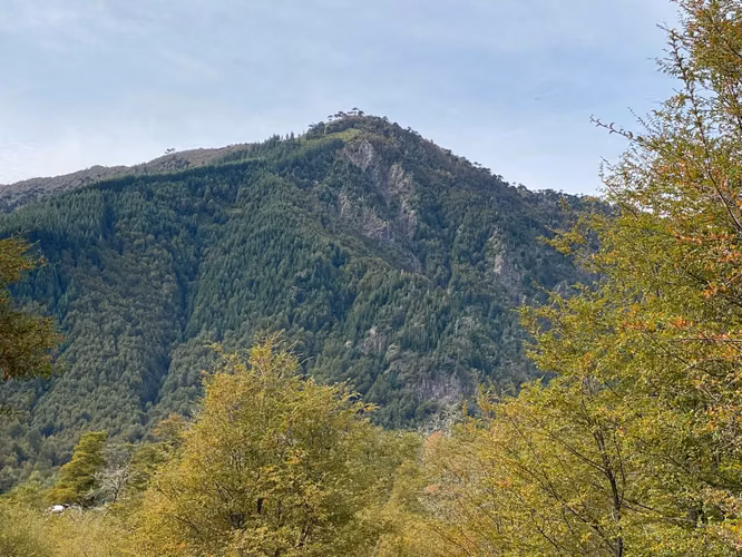 PARCELA 5000M2 EN LOTEO MALALCAHUELLO
