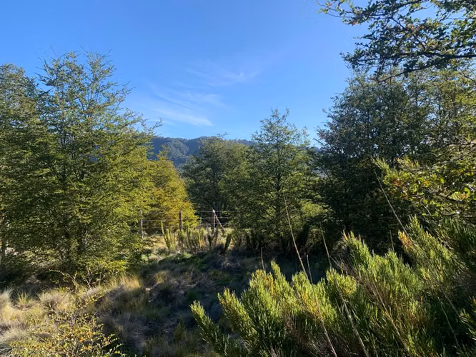 PARCELA 5000M2 EN LOTEO MALALCAHUELLO