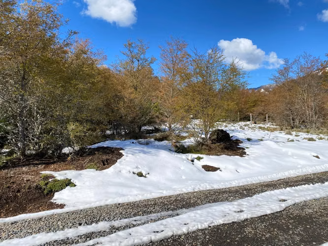PARCELA 5000M2 EN LOTEO MALALCAHUELLO