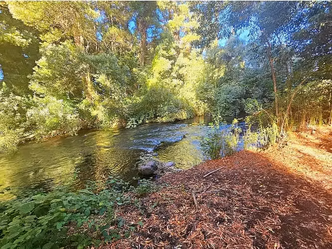 VENDO GRAN TERRENO CON ACCESO A RIO, A ORILLA DE CARRETERA