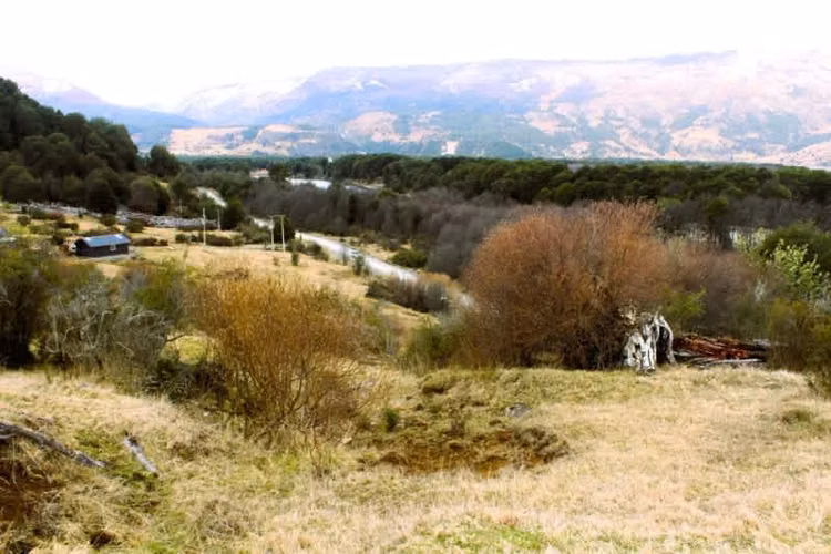 Agrícola CRUCE MURTA PASADO EL PUENTE