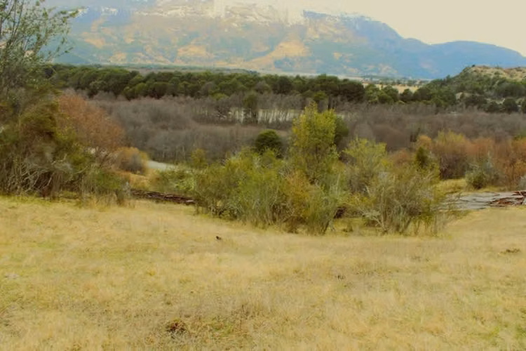 Agrícola CRUCE MURTA PASADO EL PUENTE