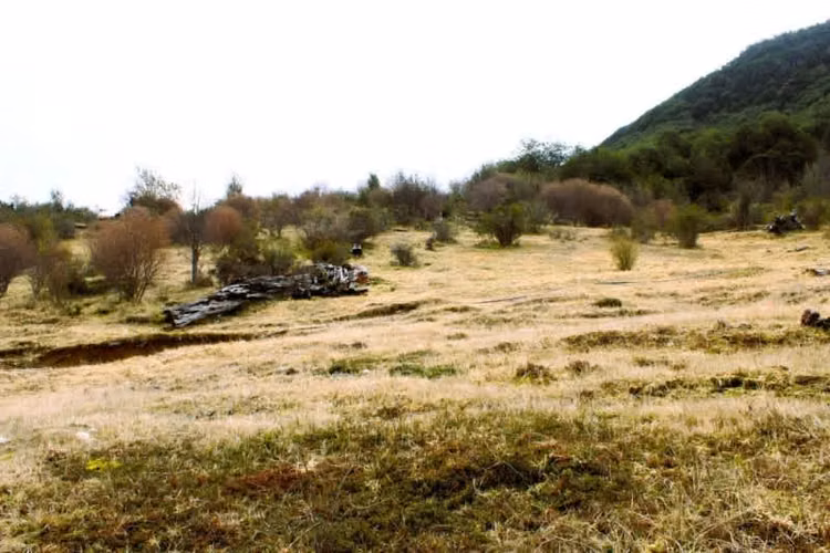 Agrícola CRUCE MURTA PASADO EL PUENTE