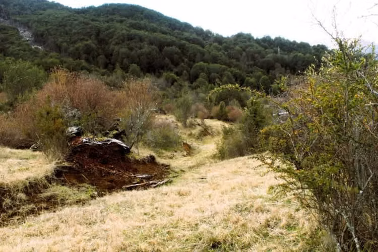 Agrícola CRUCE MURTA PASADO EL PUENTE