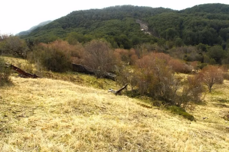 Agrícola CRUCE MURTA PASADO EL PUENTE