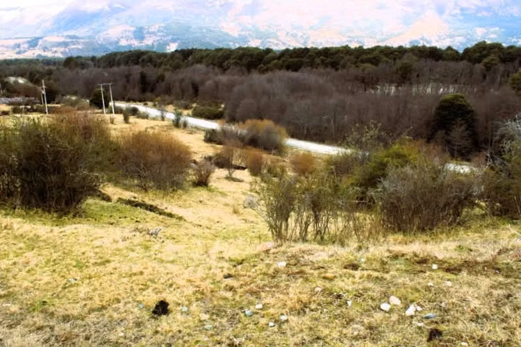 Agrícola CRUCE MURTA PASADO EL PUENTE