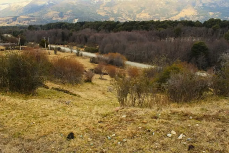 Agrícola CRUCE MURTA PASADO EL PUENTE