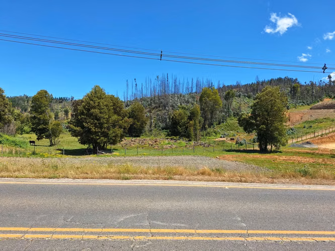 Purén, se venden Parcelas 5000 M2