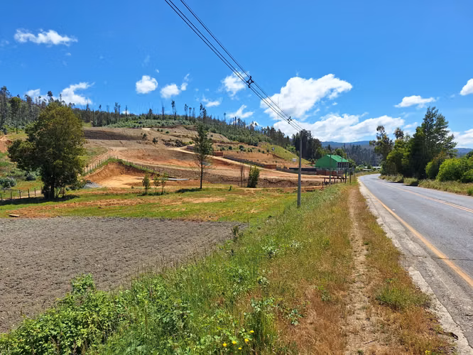 Purén, se venden Parcelas 5000 M2