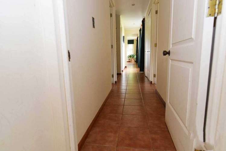 LINDA PARCELA CASA OJOS BUENOS-OLMUE (124874) - Imagen 8