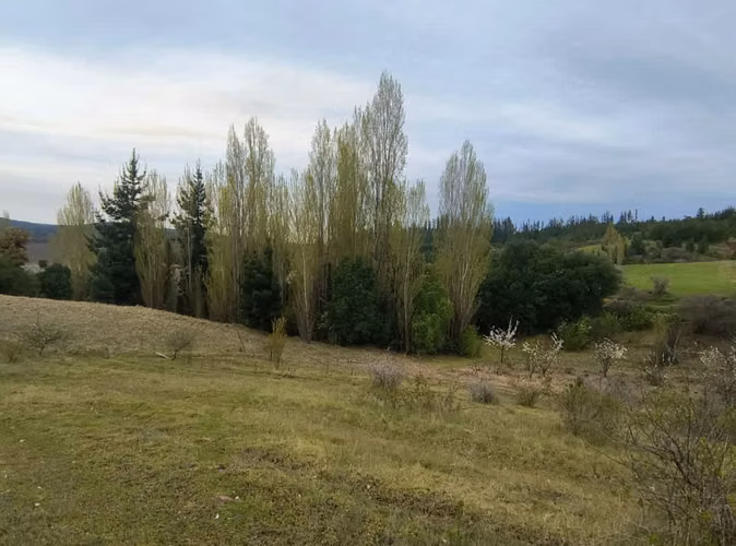 ¡Parcela en Chillán: 13,000 m² por $58.8M!