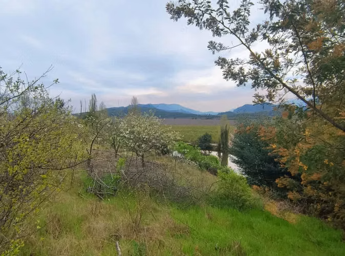 ¡Parcela en Chillán: 13,000 m² por $58.8M!