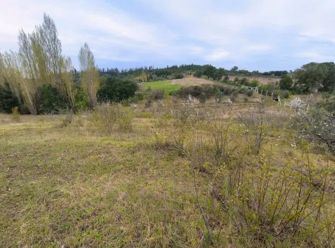 ¡Parcela en Chillán: 13,000 m² por $58.8M!