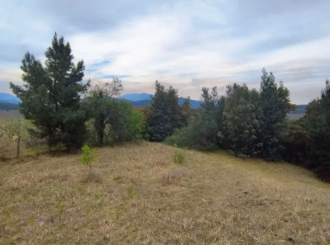 ¡Parcela en Chillán: 13,000 m² por $58.8M!