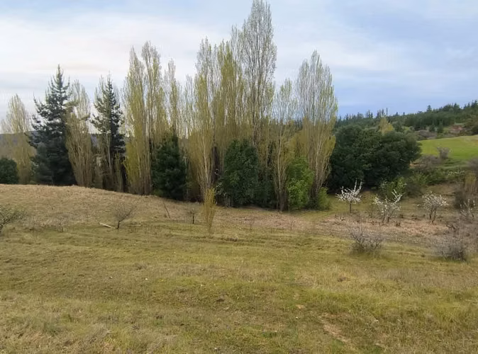¡Parcela en Chillán: 13,000 m² por $58.8M!