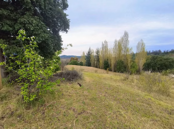 ¡Parcela en Chillán: 13,000 m² por $58.8M!
