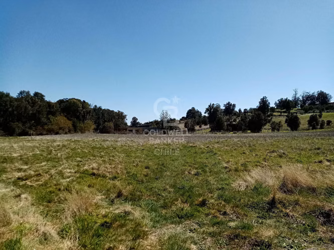 Parcelas a precio único y vista al Volcán Osorno. - Imagen 5