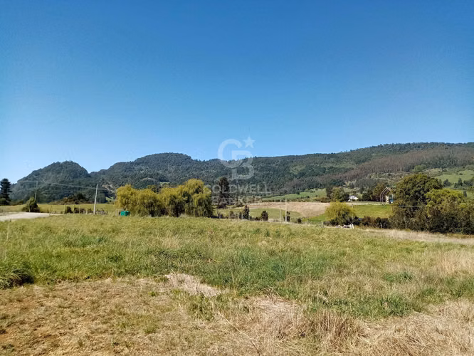 Parcelas a precio único y vista al Volcán Osorno. - Imagen 9