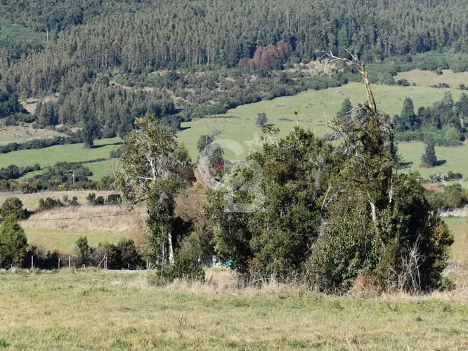 Parcelas a precio único y vista al Volcán Osorno. - Imagen 6