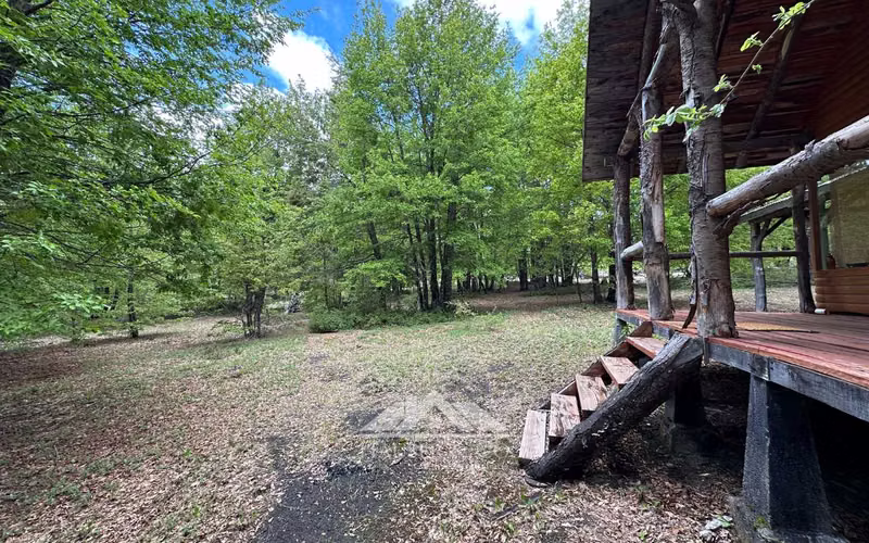 Cabaña Full desconexión en la montaña Palguin Alto a pasos del Parque Nacional Villarrica