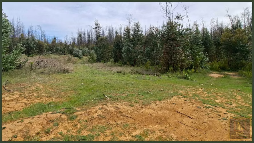 3 TERRENOS DE 15,5 ha., 5,65 Ha. y 10,1  (125708)