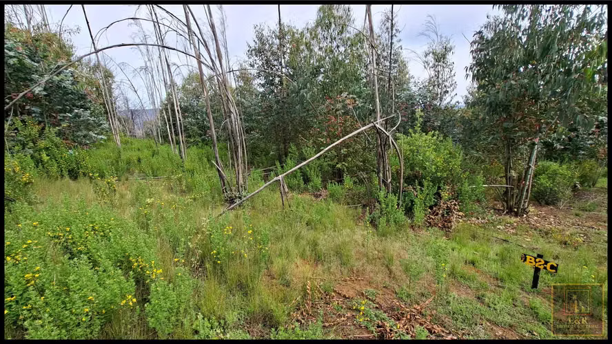 3 TERRENOS DE 15,5 ha., 5,65 Ha. y 10,1  (125708)