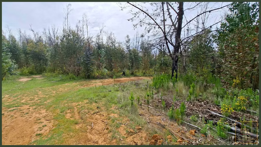 3 TERRENOS DE 15,5 ha., 5,65 Ha. y 10,1  (125708)
